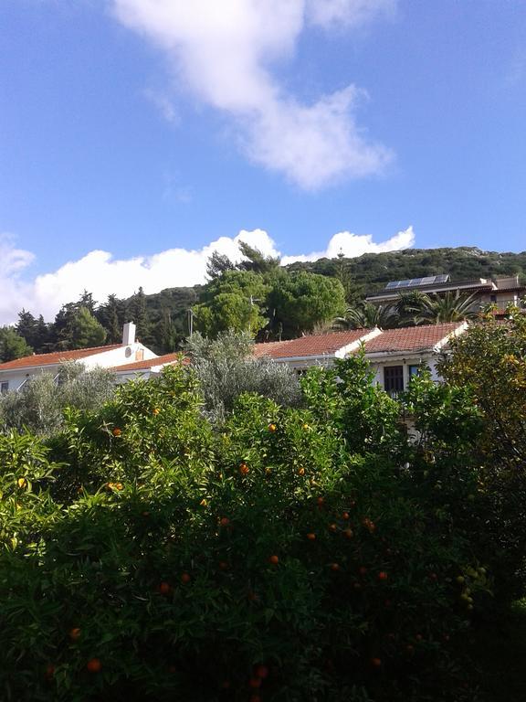 Aggelos Kefalonia Lassi Λάσση Εξωτερικό φωτογραφία